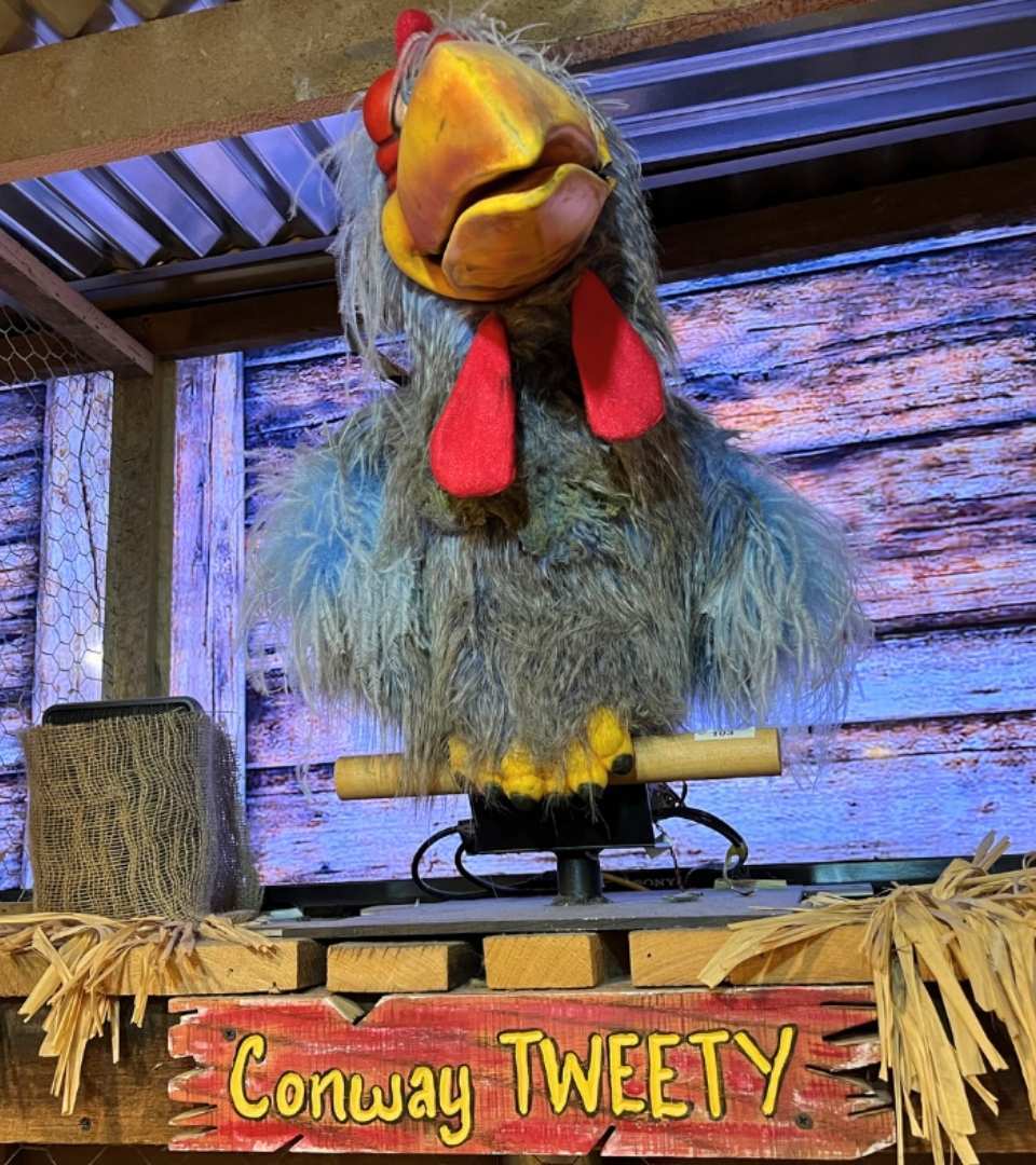 fcc-conway-tweety