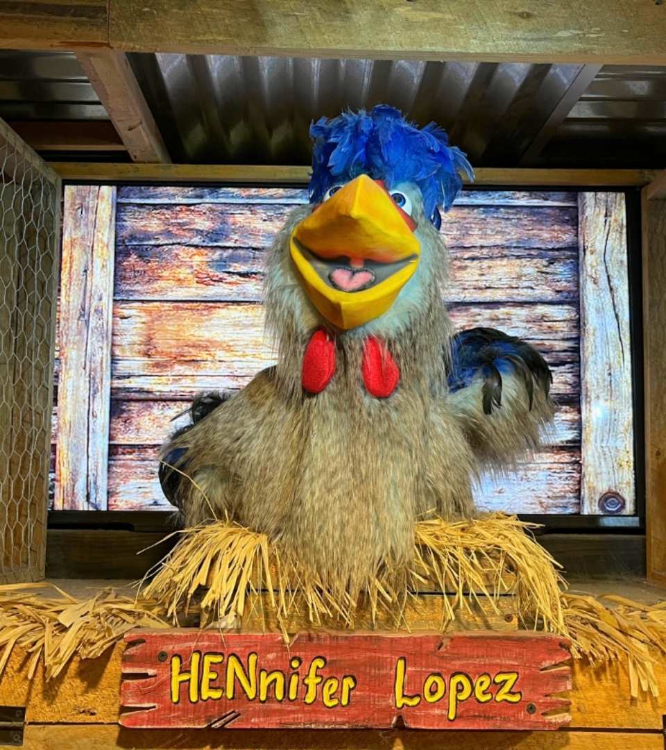 fcc-hennifer-lopez