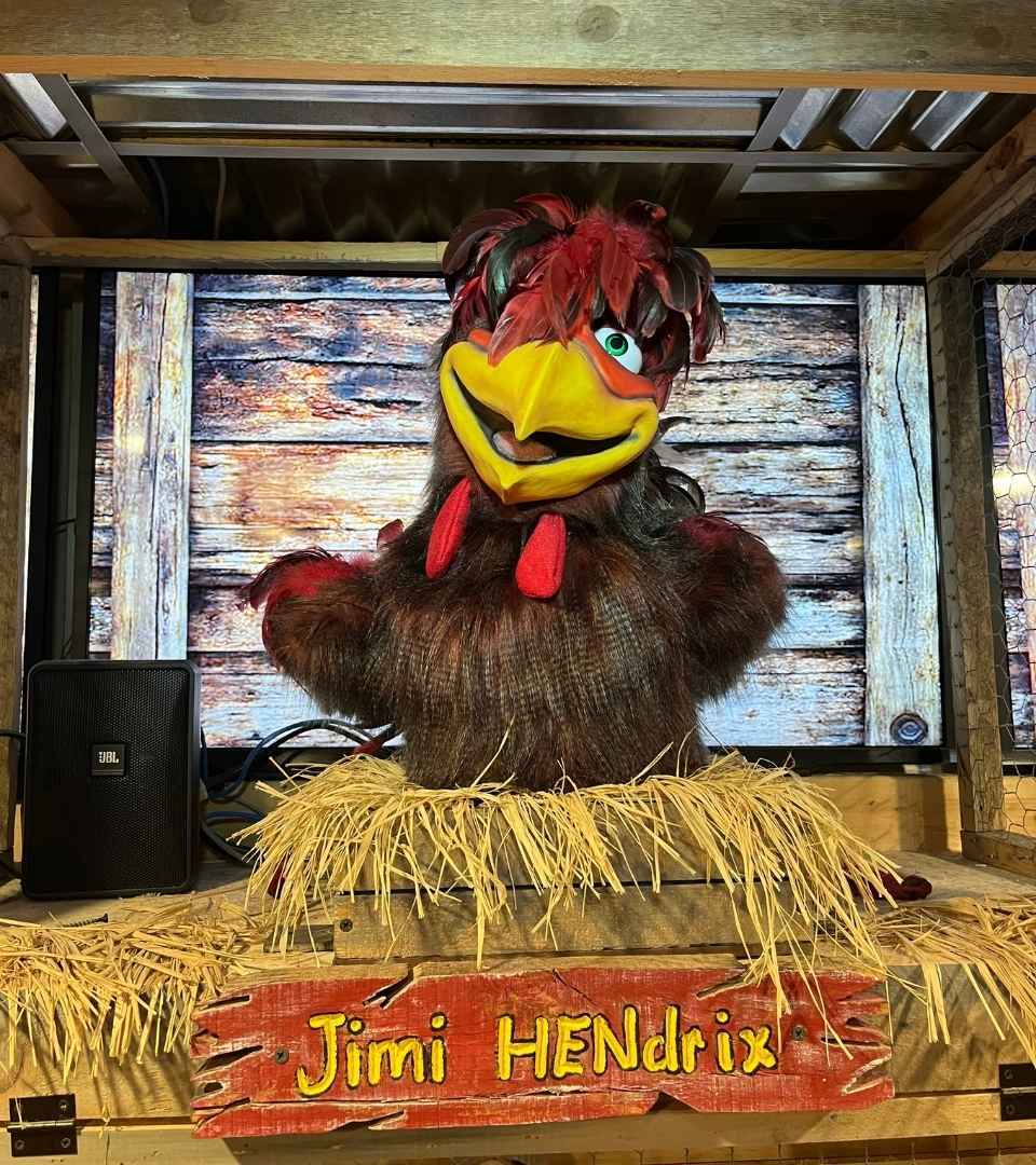 a chicken named after Jimi Hendrix
