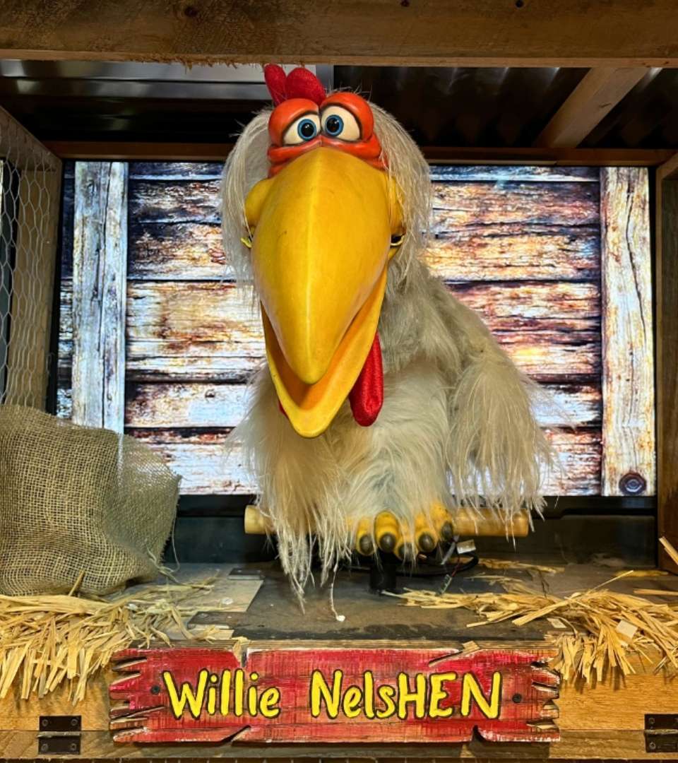 fcc-willie-nelshen